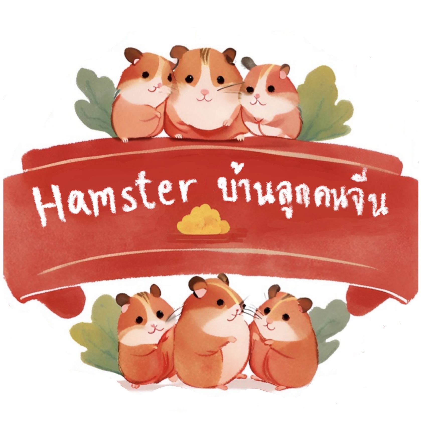 Hamsterบ้านลูกคนจีน
